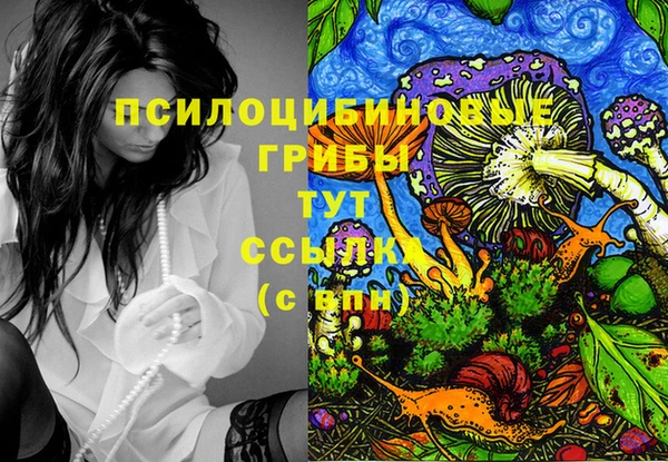 гашишное масло Инсар