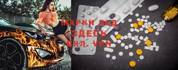 амф Инта