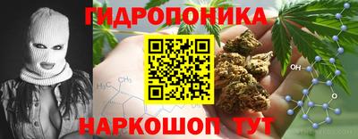 прущие грибы Дубна