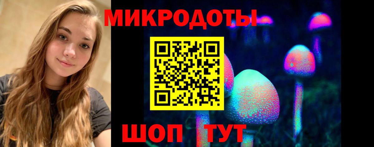 Псилоцибиновые грибы мицелий Кирово-Чепецк